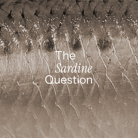 The Sardine Diet Craze: Does it Sink or Swim?