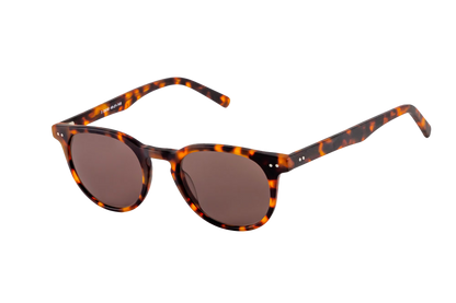 Clarke Sunglasses Readers (Brown) Angled View