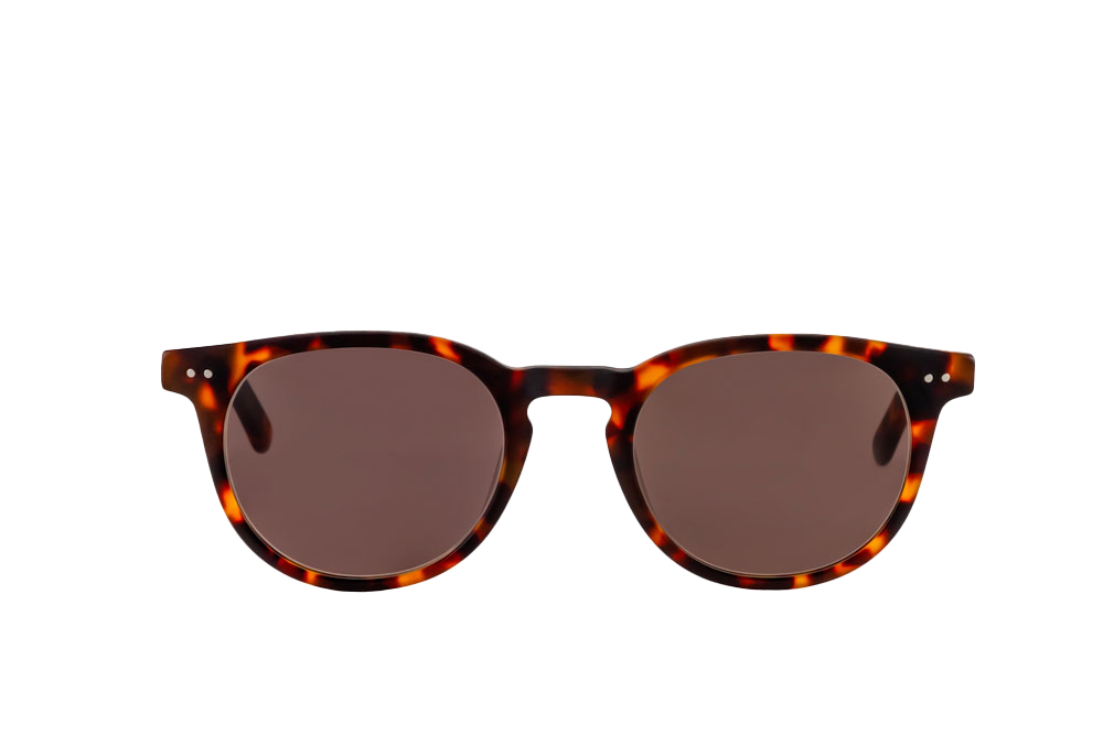 Clarke Sunglasses Readers (Brown) Front View