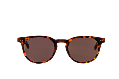 Clarke Sunglasses Readers (Brown) Front View